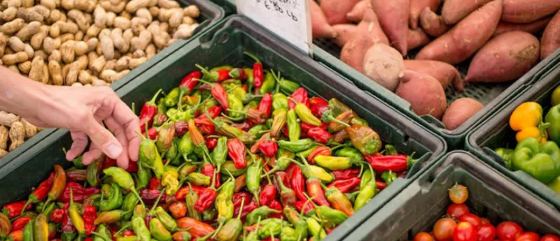 Trays of produce displayed at a UCSF affiliated farmers market